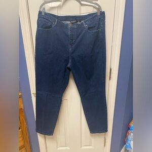Brooke Shields Timeless High Rise Stretch Plus Size Skinny Jeans 20W
